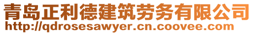 青島正利德建筑勞務(wù)有限公司