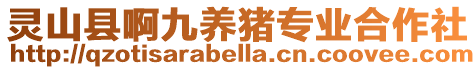 靈山縣啊九養豬專業合作社