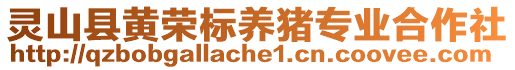 靈山縣黃榮標養豬專業合作社