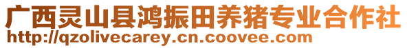廣西靈山縣鴻振田養豬專業合作社