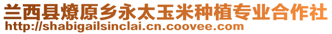 蘭西縣燎原鄉(xiāng)永太玉米種植專業(yè)合作社