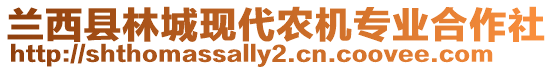 蘭西縣林城現(xiàn)代農(nóng)機專業(yè)合作社