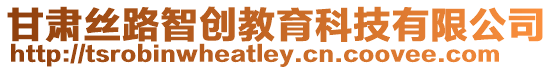 甘肅絲路智創(chuàng)教育科技有限公司