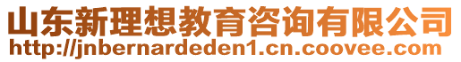 山東新理想教育咨詢有限公司