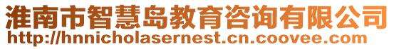 淮南市智慧島教育咨詢有限公司