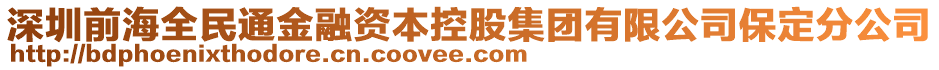 深圳前海全民通金融資本控股集團(tuán)有限公司保定分公司