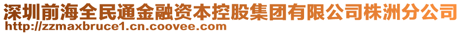 深圳前海全民通金融資本控股集團有限公司株洲分公司