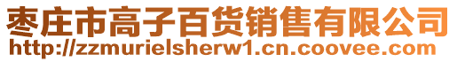 棗莊市高子百貨銷售有限公司