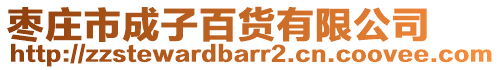 棗莊市成子百貨有限公司