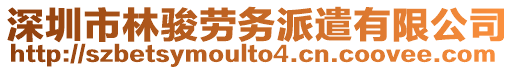 深圳市林駿勞務(wù)派遣有限公司