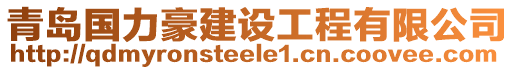 青島國(guó)力豪建設(shè)工程有限公司