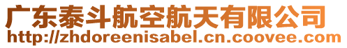 廣東泰斗航空航天有限公司