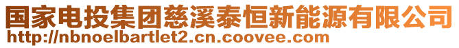 國家電投集團慈溪泰恒新能源有限公司