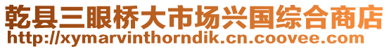 乾縣三眼橋大市場興國綜合商店