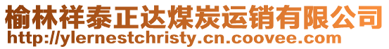 榆林祥泰正達煤炭運銷有限公司