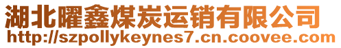 湖北曜鑫煤炭運銷有限公司