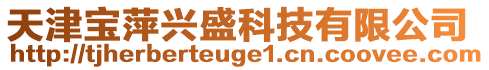 天津?qū)毱寂d盛科技有限公司