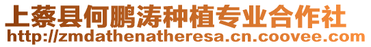 上蔡縣何鵬濤種植專業合作社