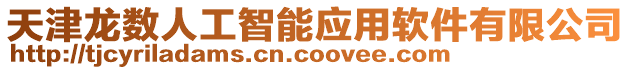 天津龍數(shù)人工智能應(yīng)用軟件有限公司