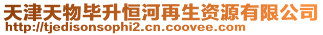 天津天物畢升恒河再生資源有限公司