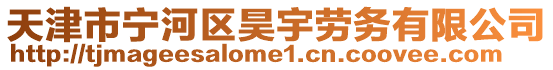 天津市寧河區昊宇勞務有限公司