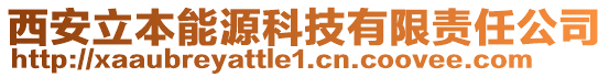 西安立本能源科技有限責任公司