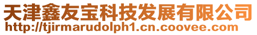 天津鑫友寶科技發展有限公司