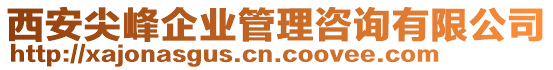 西安尖峰企業(yè)管理咨詢有限公司
