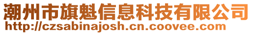 潮州市旗魁信息科技有限公司