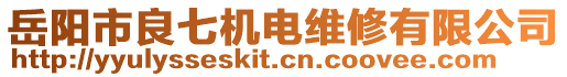 岳陽市良七機電維修有限公司