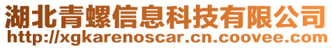 湖北青螺信息科技有限公司