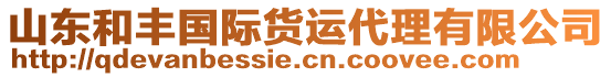 山東和豐國際貨運代理有限公司