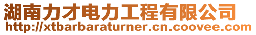 湖南力才電力工程有限公司