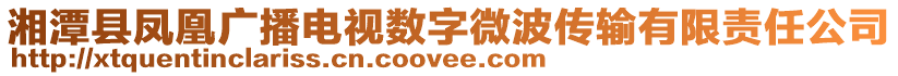 湘潭縣鳳凰廣播電視數(shù)字微波傳輸有限責(zé)任公司