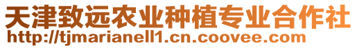 天津致遠(yuǎn)農(nóng)業(yè)種植專業(yè)合作社