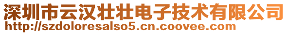 深圳市云漢壯壯電子技術(shù)有限公司