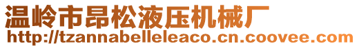 溫嶺市昂松液壓機(jī)械廠