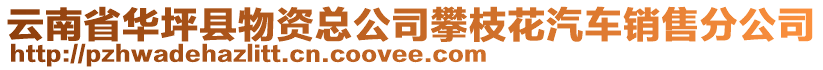 云南省華坪縣物資總公司攀枝花汽車銷售分公司