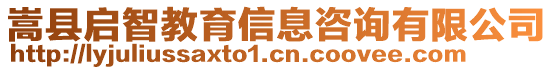 嵩縣啟智教育信息咨詢有限公司