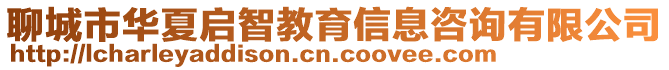 聊城市華夏啟智教育信息咨詢有限公司