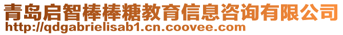 青島啟智棒棒糖教育信息咨詢有限公司