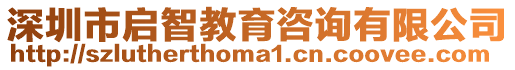 深圳市啟智教育咨詢有限公司