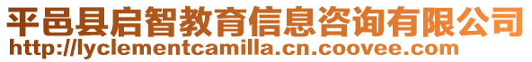 平邑縣啟智教育信息咨詢有限公司