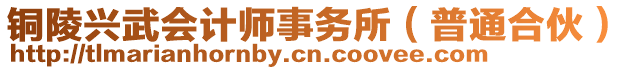 銅陵興武會計師事務所（普通合伙）