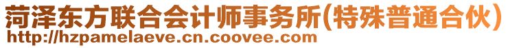 菏澤東方聯(lián)合會計師事務(wù)所(特殊普通合伙)