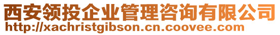 西安領投企業(yè)管理咨詢有限公司