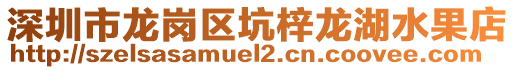 深圳市龍崗區坑梓龍湖水果店