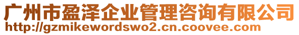 廣州市盈澤企業(yè)管理咨詢有限公司