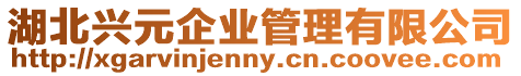 湖北興元企業(yè)管理有限公司