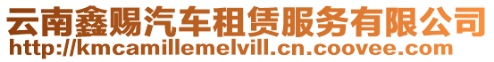 云南鑫賜汽車租賃服務有限公司